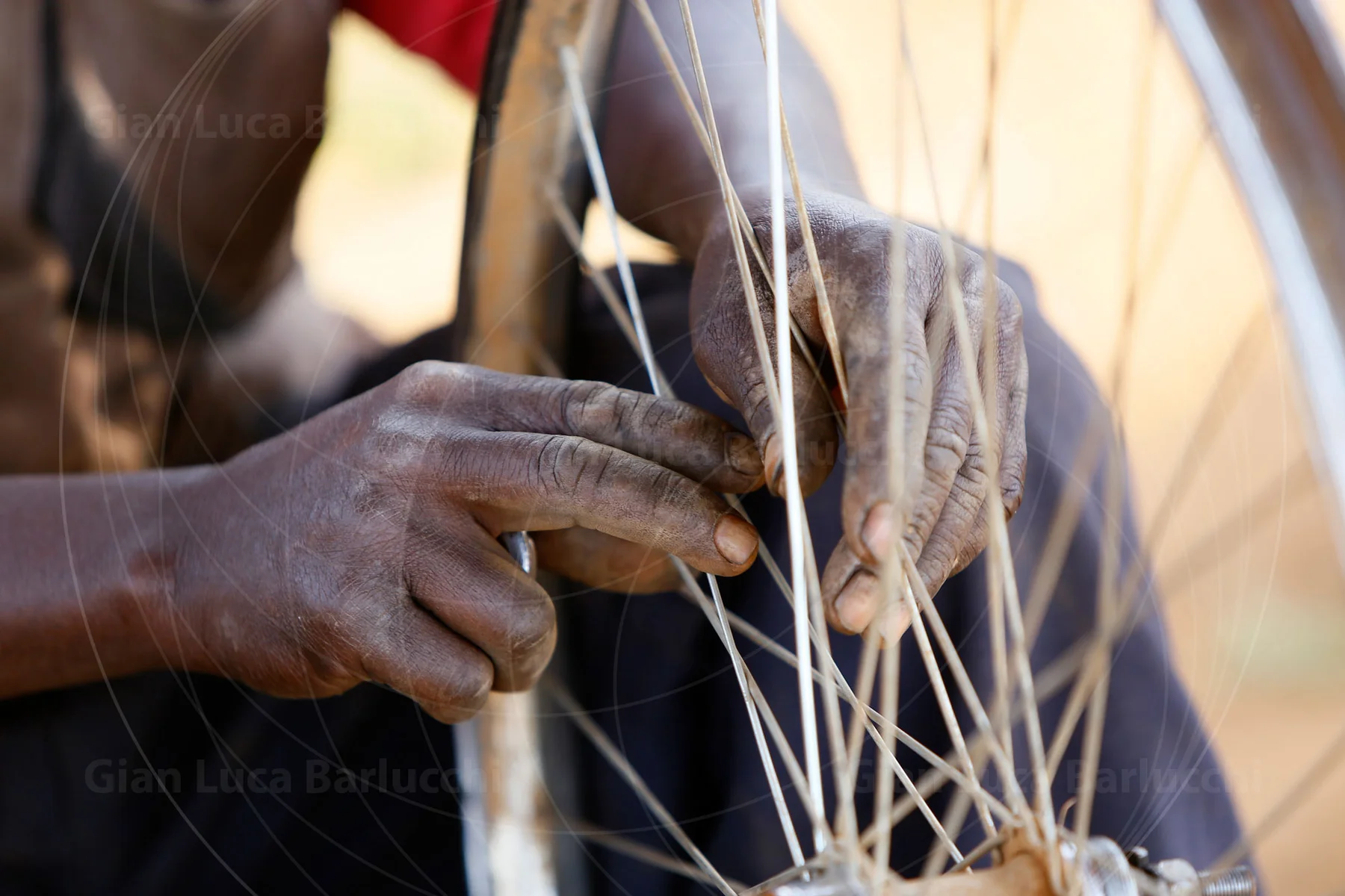 Close-up of a musician’s hands plucking the strings of a harp